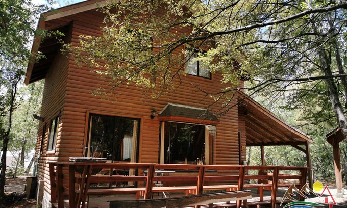 Pinto Cabine | Bordenieve