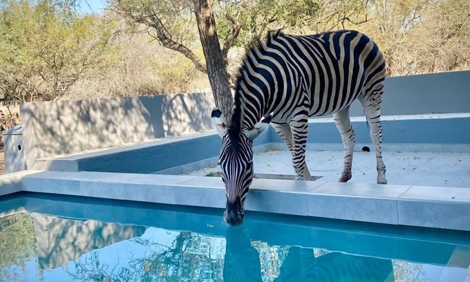 Marloth Park Cabine | Bordering Kruger National Park, this modern and spacious 3 bedroom lodge awaits