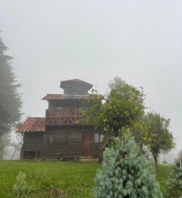 Jesus Maria Autre | Bosque de Niebla