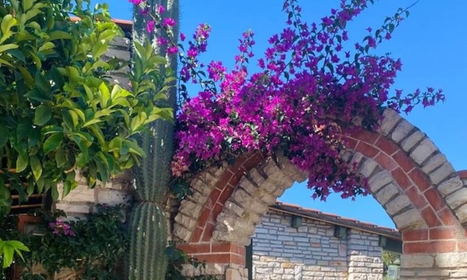 Bisceglie Appartement | Bouganvillea Pool & Sea