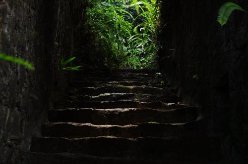 Kalawana Hôtel | Boulder Garden