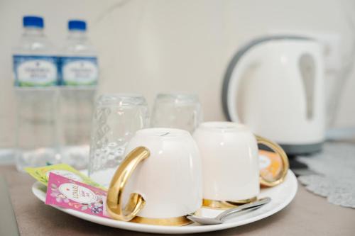 Iasi Appartement | Boutique Hotel Palas 500m Walking Distance
