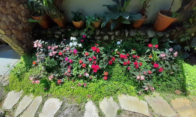 Horto Maison | Beautiful house in gated community with swimming pool in the middle of the Atlantic forest