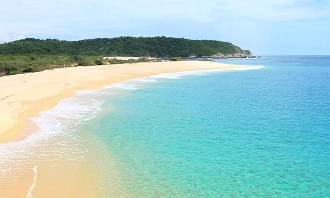 S Copropriété | CONDO NEUF, PLAGES DU PARADIS, GRANDE COMMUNAUTE