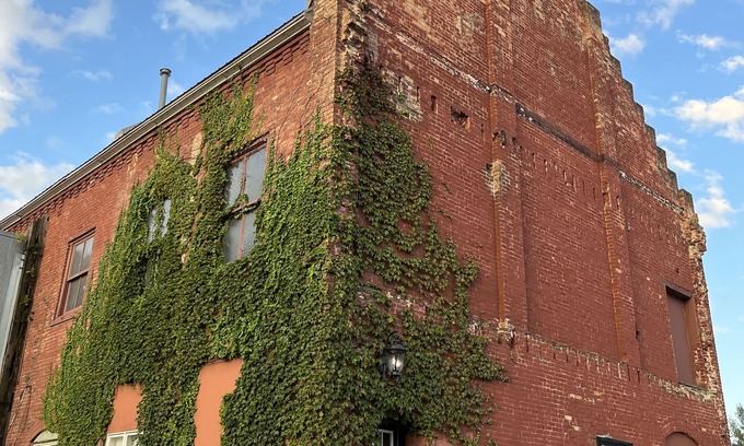 Waseca Maison | Brick & Vine Suite - Newly Remodeled!