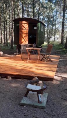 Middlemarsh Autre | Bridgewood Camping - Traditional Shepherd's Hut