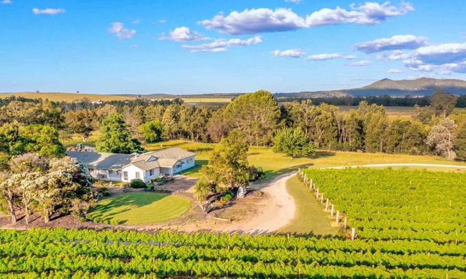 Broke Maison | Broke in the Vines