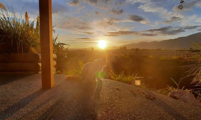 Kaikoura Lit Et Petit-Déjeuner | Brook House B&B & Cottages