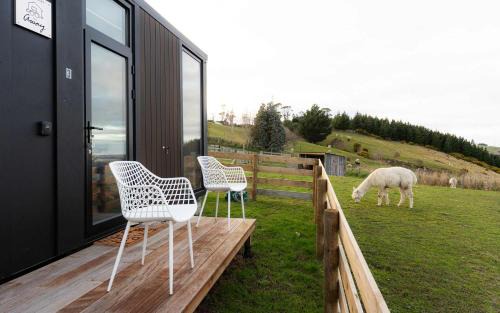 Surat Bay Maison | Bruce Farm Alpaca Cabin 3 by Tiny Away