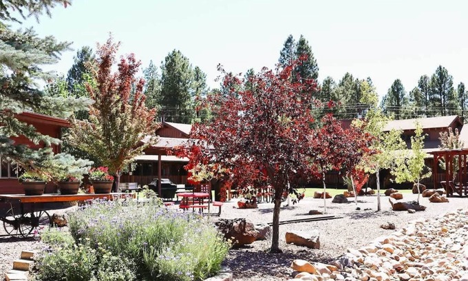 Pinetop Copropriété | Budget-Friendly Mountain Getaway in Pinehill, AZ
