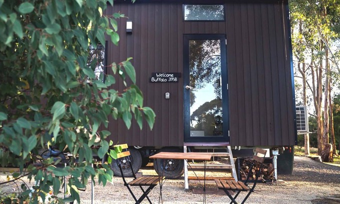 Buffalo Maison | Buffalo 3958 Summary: