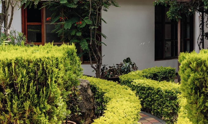 Santa Lucia del Camino Maison | Bule Villas 2 Bedroom-2 Bath Beautiful "Dylan's Corner"