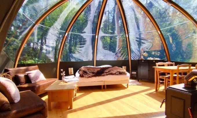 Magnieres Cabine | Bulle forestière - Etat Nature