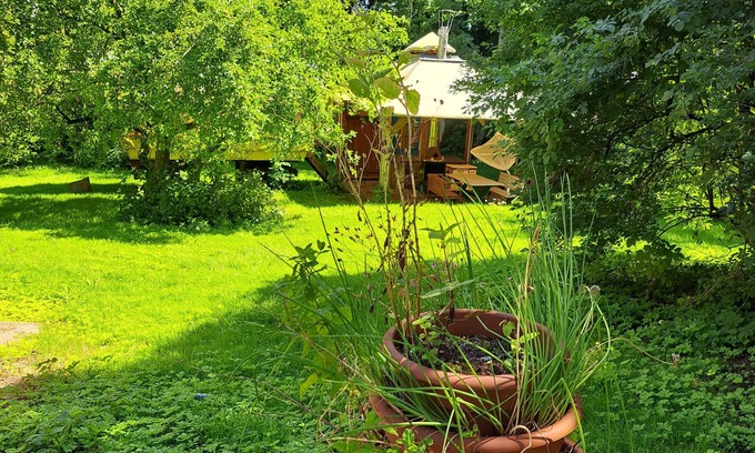 Carinerland Maison | Bungalow pour 6 personnes avec 100m² à Danneborth (58272)