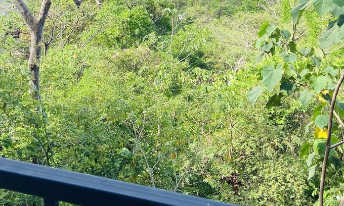 Paquera Maison | Bungalow 14 floor 2, with Ocean View, 5 pax max, 10 min from Curu National Park.