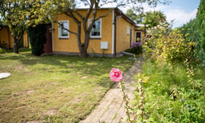 Neeberg Maison | Bungalow Appelboom - Bungalow 417