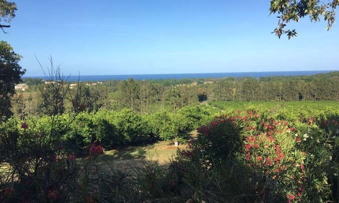 San-Nicolao Maison | Bungalow au milieu des clémentiniers face à la mer