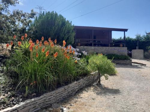 Viseu Maison | Bungalow da Pedreira