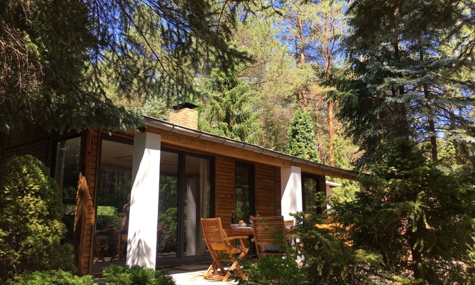 Borkwalde Maison | BUNGALOW DANS LA FORET sur un terrain naturel