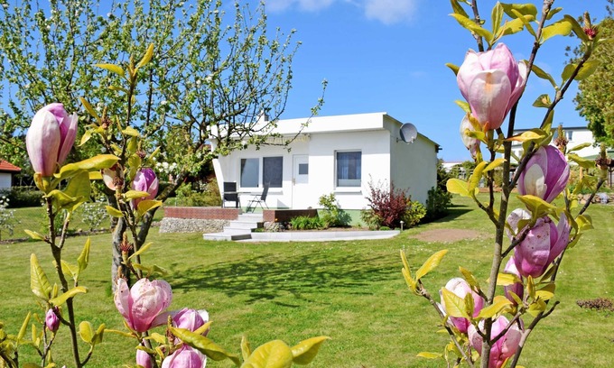 Altefaehr Maison | Bungalow "Sundblick" avec vue sur la mer, terrasse privée et Wi-Fi