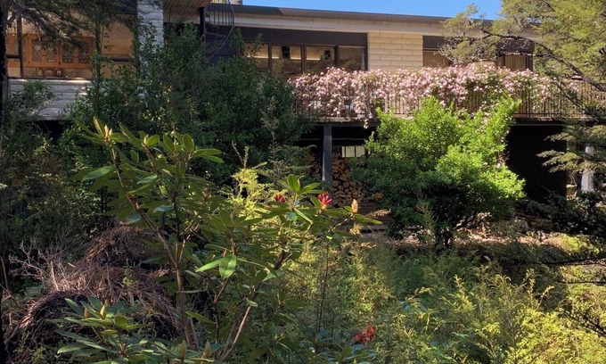 St. Arnaud Maison | Bush and birdsong at spacious home-away-from-home, just minutes from lake shore