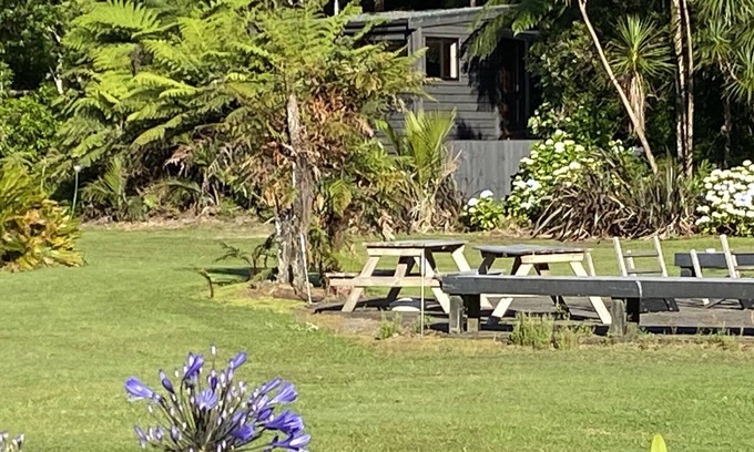 Whangamata Cabine | Bush Edge Studio