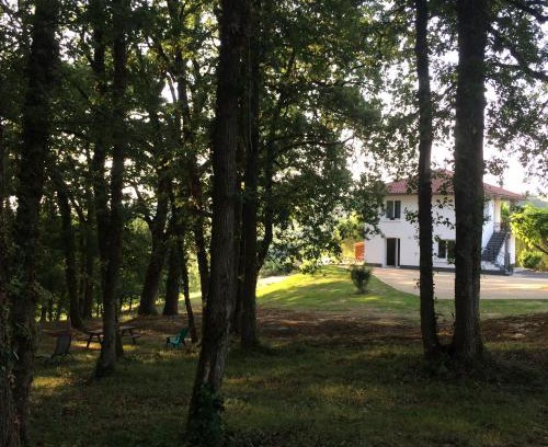 Puycornet Appartement | côté chêne