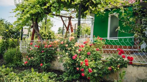 Moldova Maison | Căsuţa de lângă Lac