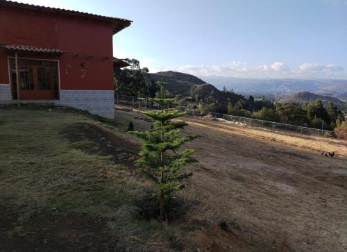 Cajamarca Lit Et Petit-Déjeuner | Cabaña casa de campo a 20 minutos de la ciudad de Cajamarca
