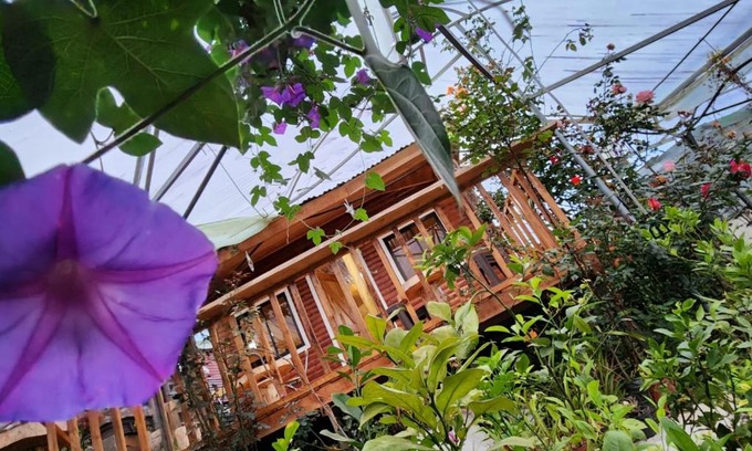 Canton Dota Maison | Cabaña el Faisán, Jardín de Dota