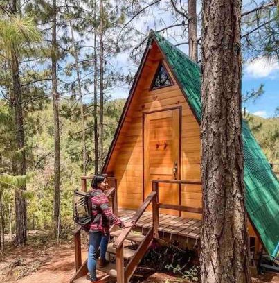 San Jose del Pacifico Chalet De Ski | Cabaña privada en el bosque, cerca al rio Starlinkk