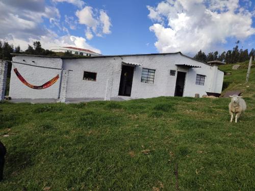 Guatavita Maison | Cabañas Casa Campo Guatavita
