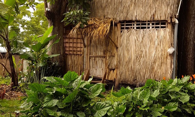 Balgue Cabine | Cabañas El Bamboo