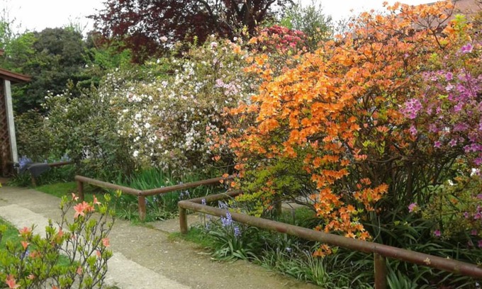 Valdivia Cabine | Cabañas El Jardin