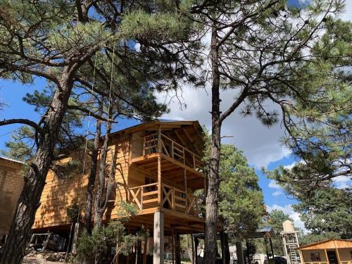 Creel Maison | Cabañas el Pino 3