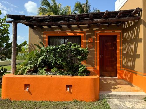 Celestun Hôtel | Cabañas Manglares