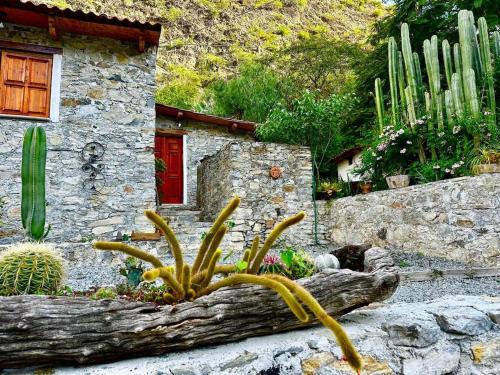 Metztitlan Maison | Cabañas Rincón Metztitlán