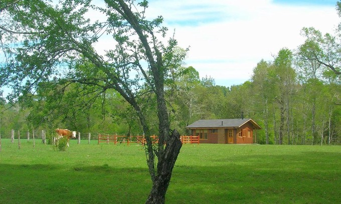 Curacautin Maison | Cabañas Valle del Río