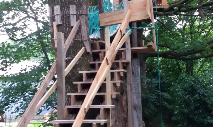 Saint-Thomas-de-Courceriers Maison | Cabane Dans Les Arbres - Le Nid Dans Le Chêne