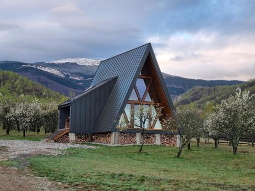 Pui Chalet De Ski | Cabana A-frame Dor de Hateg