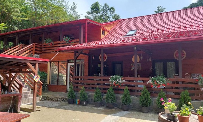 Baia Mare Cabine | Cabana Alpha