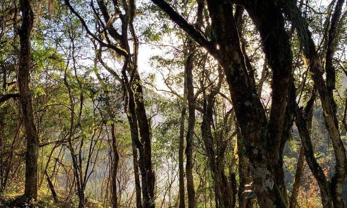 Gramado Cabine | Cabana Amélia