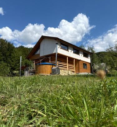Viseu de Jos Maison | Cabana Arini 1954