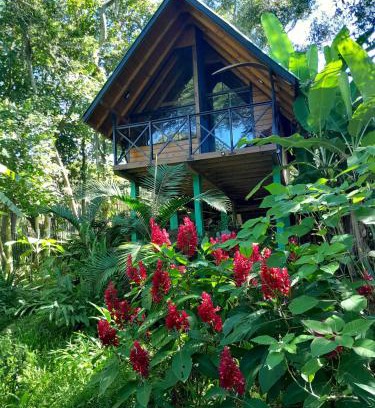 Imarui Chalet De Ski | Cabana com Cachoeira Privativa