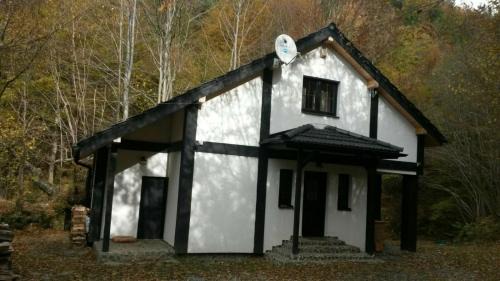 Turnu Rosu Cabine | Cabana Crenguta