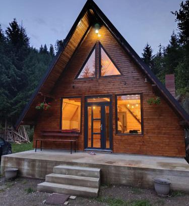 Damuc Maison | Cabana Doi Brazi A-FRAME
