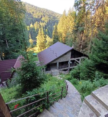 Arefu Cabine | Cabana Zimbru Transfagarasan