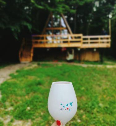 Curtea De Arges Maison | CabanaAframe intreaga proprietate