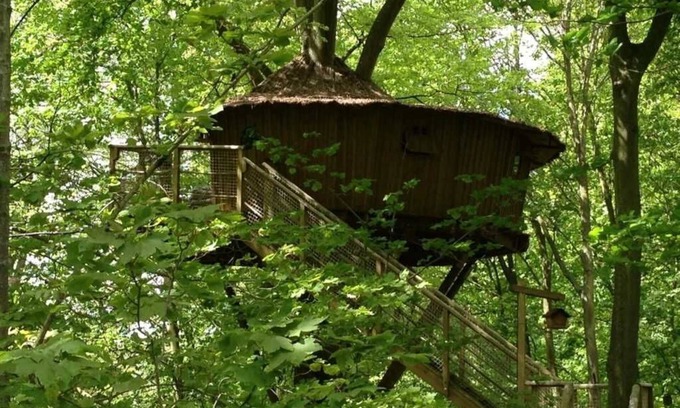 Port-le-Grand Cabine | Cabane 3 étoiles - Piscine - ccbbifi