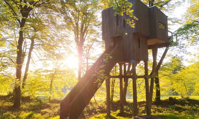 Noues de Sienne Hôtel | CABANE DANS LES ARBRES (9M) 4/5 pers - Etape en Foret